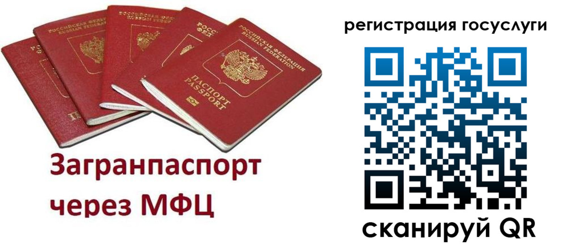 прописка 2025 в Королёве